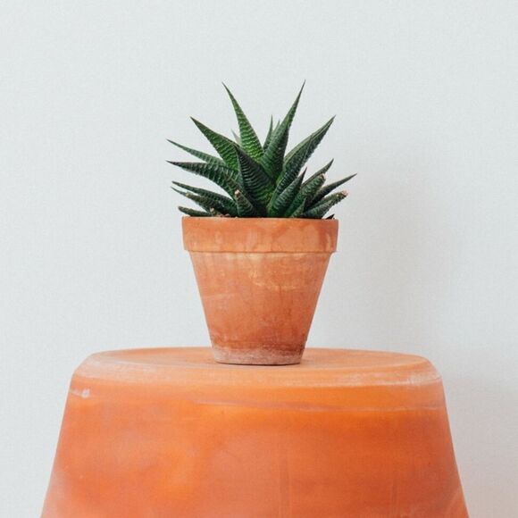 Terracotta Pots | Set of 4 Terracotta Pots Size Small - Picture 1 of 7
